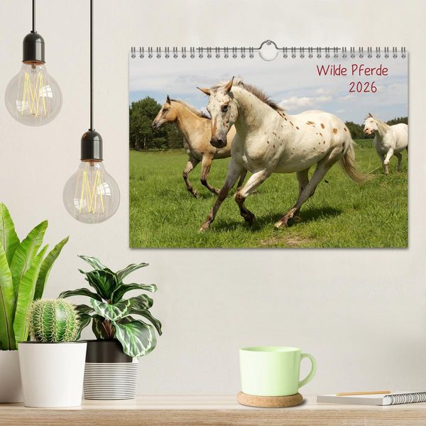 Produktbild: Wilde Pferde (Wandkalender 2026 DIN A4 quer), CALVENDO Monatskalender
