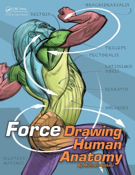 Produktbild: Force: Drawing Human Anatomy