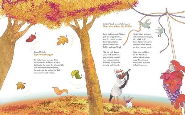 Produktbild: Herbstlaub und Laternenlicht