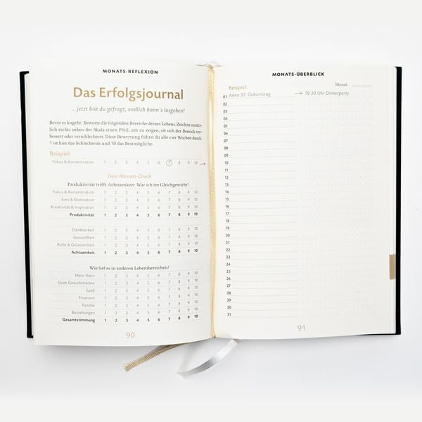 Das 6-Minuten-Erfolgsjournal (petrol)