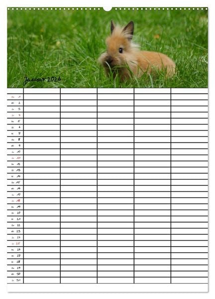 Produktbild: Meerschweinchen und Kaninchen Familienplaner (hochwertiger Premium Wandkalender 2026 DIN A2 hoch), Kunstdruck in Hochglanz