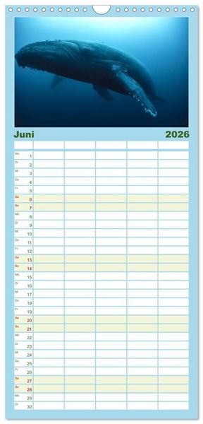 Produktbild: Familienplaner 2026 - Tiefsee - Ein Abenteuer ins Unbekannte. mit 5 Spalten (Wandkalender, 21 x 45 cm) CALVENDO