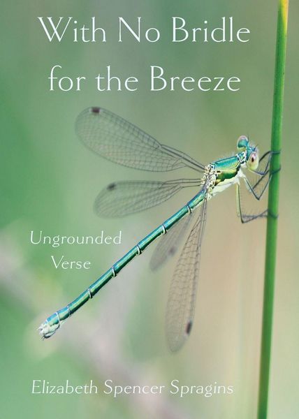 Produktbild: With No Bridle for the Breeze