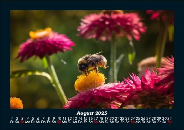 Produktbild: Blumenkalender 2025 Fotokalender DIN A5