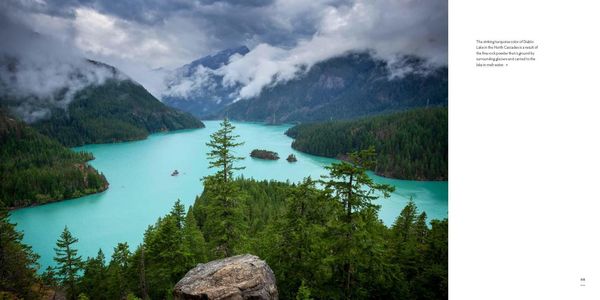 Produktbild: Washington, Evergreen