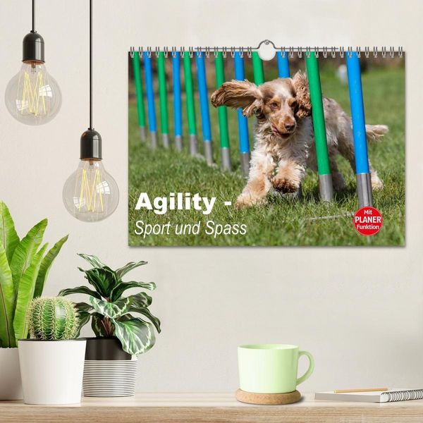 Produktbild: Agility - Sport und Spass (Wandkalender 2027 DIN A4 quer), CALVENDO Monatskalender