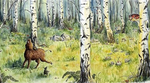 Produktbild: Gris, Varp und die Rettung des Nordlichts