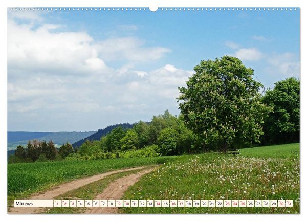 Produktbild: Viele Wege - ein Ziel Wandern im Odenwald (Wandkalender 2026 DIN A2 quer), CALVENDO Monatskalender