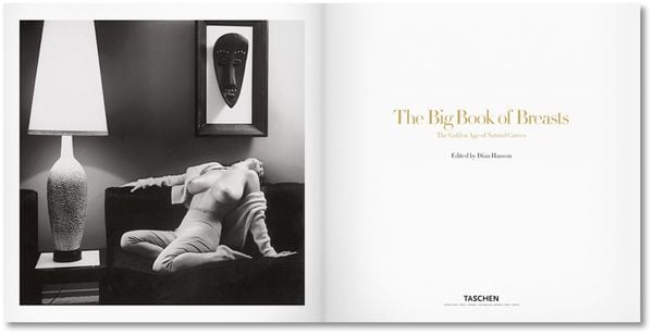 Produktbild: The Big Book of Breasts