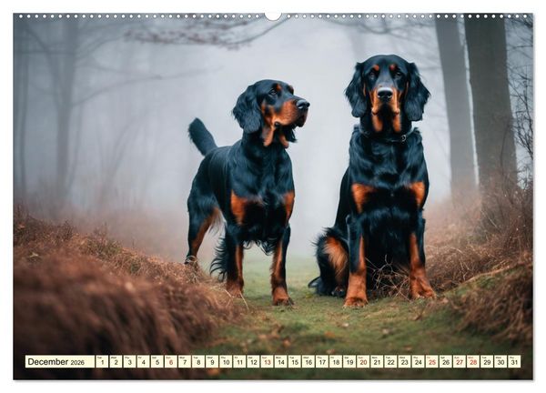 Produktbild: Gordon Setter - elegant powerhouse (High Quality Premium Wall Calendar 2026 DIN A2 landscape),CALVENDO 12 Month Wall Calendar