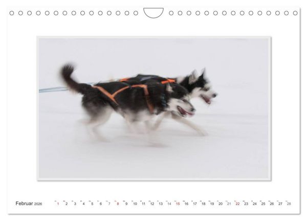 Produktbild: Emotionale Momente: The Art of Huskys. / CH-Version (Wandkalender 2026 DIN A4 quer), CALVENDO Monatskalender