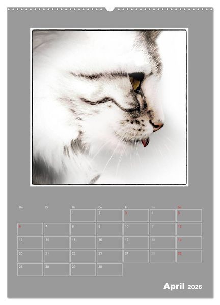Produktbild: Katzen Blues / Planer (hochwertiger Premium Wandkalender 2026 DIN A2 hoch), Kunstdruck in Hochglanz