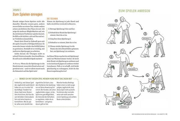 Produktbild: Spielerische Hundeerziehung