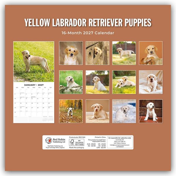 Produktbild: Yellow Labrador Retriever Puppies &ndash; Gelbe Labrador Retriever Welpen 2027 &ndash; 16-Monatskalender