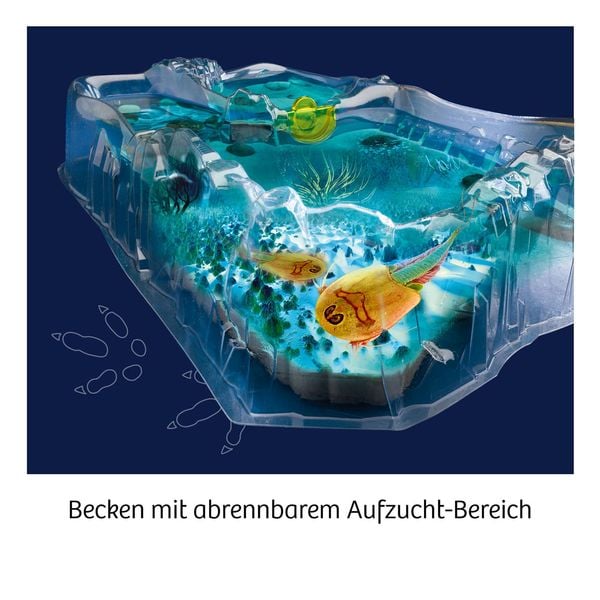 Produktbild: Fun Science Triops z&uuml;chten