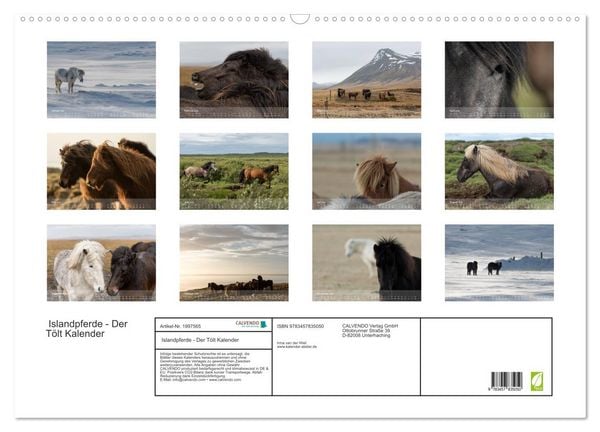 Produktbild: Islandpferde - Der T&ouml;lt Kalender (Wandkalender 2026 DIN A2 quer), CALVENDO Monatskalender