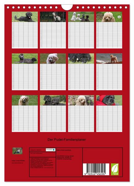 Produktbild: Der Pudel-Familienplaner (Wandkalender 2026 DIN A4 hoch), CALVENDO Monatskalender