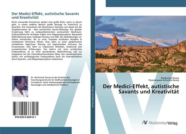 Der Medici-Effekt, autistische Savants und Kreativität, Taschenbuch von Ravikumar Kurup,Parameswara Achutha Kurup, AV Akademikerverlag,