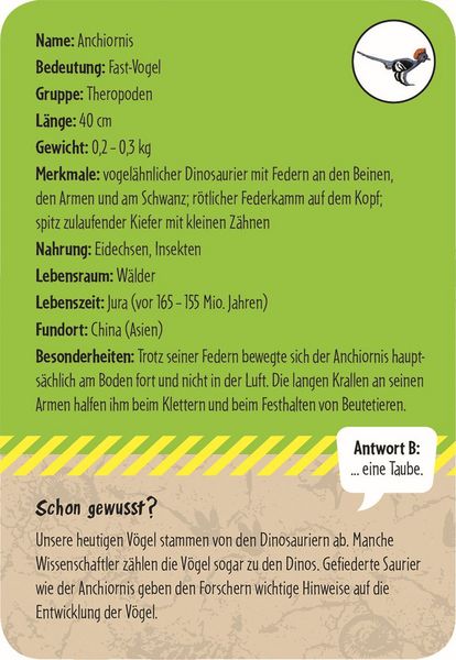 Produktbild: 50 Dinosaurier