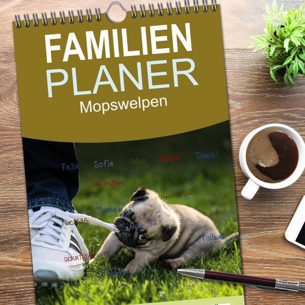 Produktbild: Familienplaner 2026 - Mopswelpen mit 5 Spalten (Wandkalender, 21 x 45 cm) CALVENDO