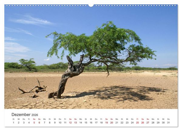 Produktbild: Venezuela - Eine Reise entlang der Karibikk&uuml;ste. (Wandkalender 2026 DIN A2 quer), CALVENDO Monatskalender