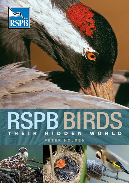 Produktbild: RSPB Birds: Their Hidden World
