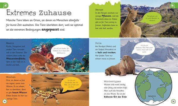 Wissen für Vorschulkids. Was weißt du über Tiere?