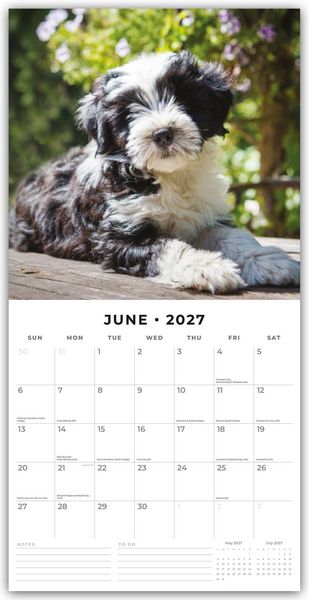 Produktbild: Tibetan Terriers &ndash; Tibet Terrier 2027 &ndash; 16-Monatskalender