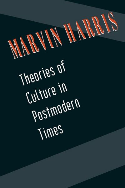 Produktbild: Theories of Culture in Postmodern Times