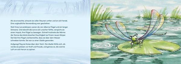 Produktbild: Von Larven und Libellen. Bilderbuch