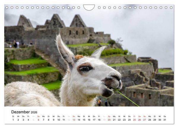 Produktbild: Peru - Land der Inkas und Alpakas (Wandkalender 2026 DIN A4 quer), CALVENDO Monatskalender