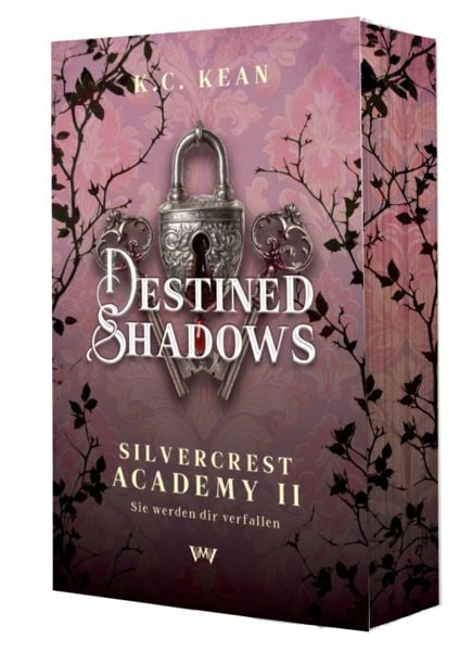 Produktbild: Destined Shadows: Spicy Reverse Harem Dark Romantasy