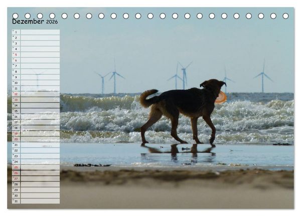 Produktbild: Egmond aan Zee (Tischkalender 2026 DIN A5 quer), CALVENDO Monatskalender