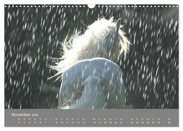 Produktbild: FANTASY Pferde Horses Caballos (Wandkalender 2026 DIN A3 quer), CALVENDO Monatskalender