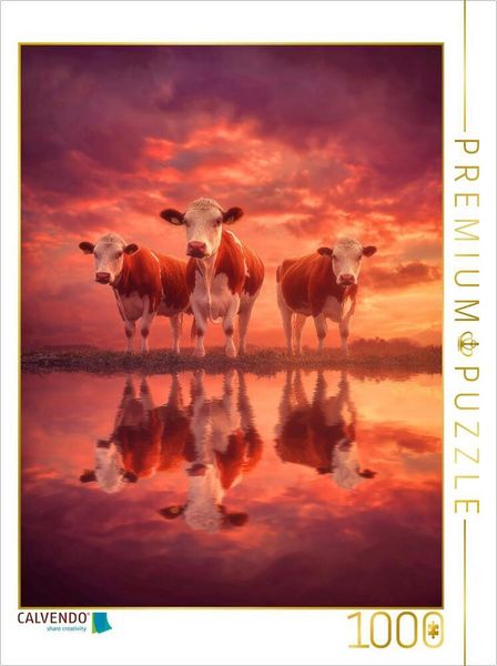 CALVENDO Puzzle Alles spiegelt sich neu und der Kreislauf beginnt von vorn | 1000 Teile Lege-Größe 64x48cm Foto-Puzzle für glückliche Stunden