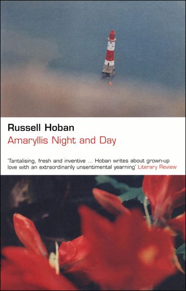 Produktbild: Amaryllis Night and Day