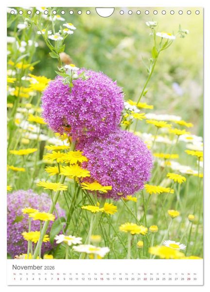 Produktbild: Bunter Sommer (Wandkalender 2026 DIN A4 hoch), CALVENDO Monatskalender