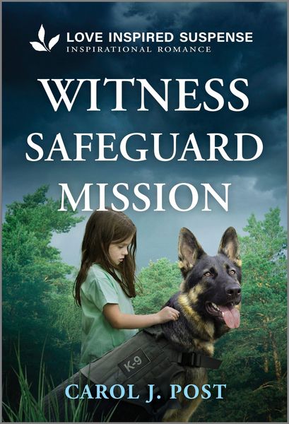 Produktbild: Witness Safeguard Mission