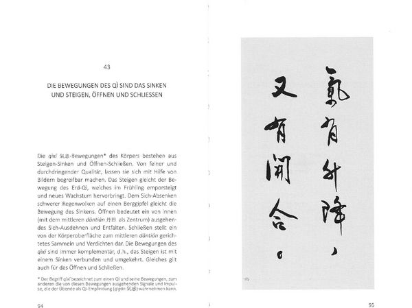 Produktbild: Qigong Yangsheng - Ein Lehrgedicht