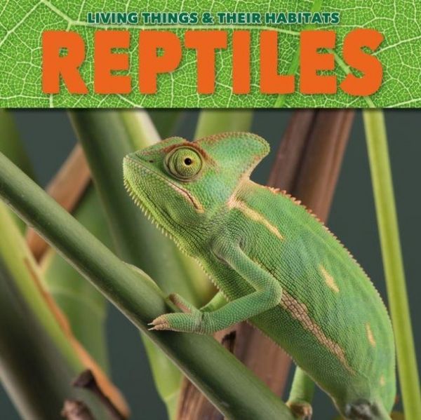 Produktbild: Reptiles
