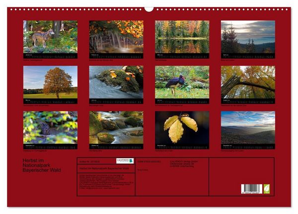 Produktbild: Herbst im Nationalpark Bayerischer Wald (Wandkalender 2026 DIN A2 quer), CALVENDO Monatskalender