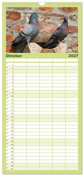 Produktbild: Familienplaner 2027 - Tauben in der Stadt mit 5 Spalten (Wandkalender, 21 x 45 cm) CALVENDO