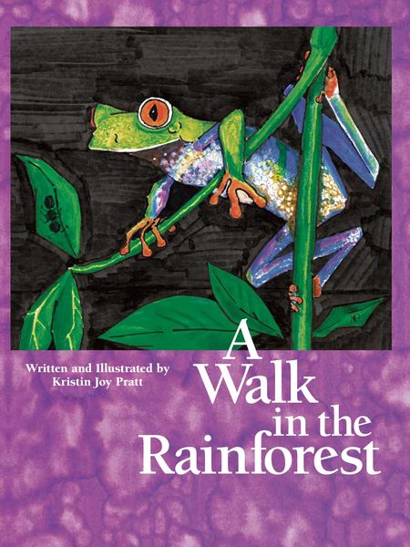 Produktbild: A Walk in the Rainforest