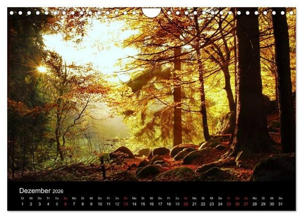 Produktbild: Zauberhafter Bayerischer Wald (Wandkalender 2026 DIN A4 quer), CALVENDO Monatskalender
