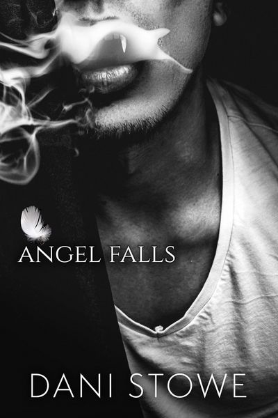 Produktbild: Angel Falls (There Are No Angels Here, #1)