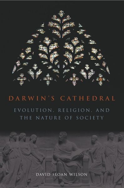 Produktbild: Darwin's Cathedral