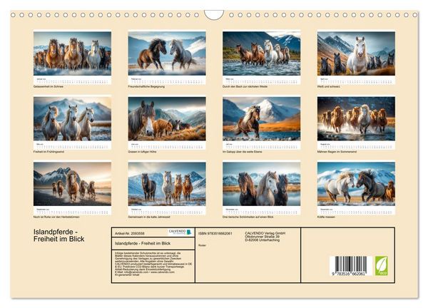 Produktbild: Islandpferde - Freiheit im Blick (Wandkalender 2026 DIN A3 quer), CALVENDO Monatskalender