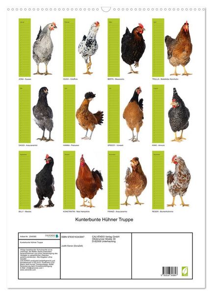 Produktbild: Kunterbunte H&uuml;hner Truppe (Wandkalender 2026 DIN A2 hoch), CALVENDO Monatskalender