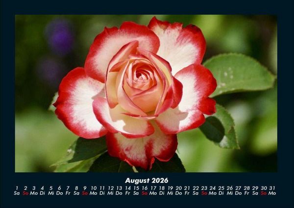 Produktbild: Blumentr&auml;ume 2026 Fotokalender DIN A4