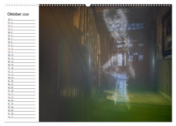 Produktbild: Geheimnisvolle Ballettwelt (hochwertiger Premium Wandkalender 2026 DIN A2 quer), Kunstdruck in Hochglanz